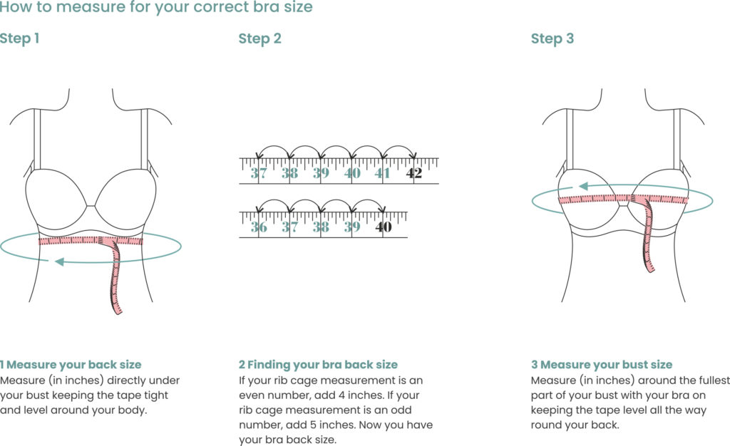 How to Measure Your Bra Size: Bra Size Charts, Band and Cup Measurement  Guide